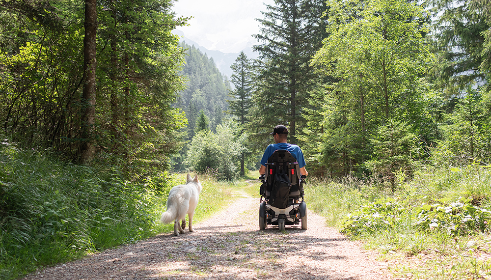 Disabled man on wheelchair with his dog on a trip in nature.