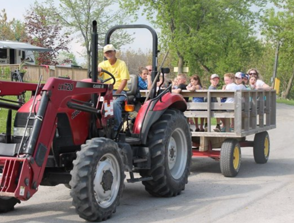 guests riding in a tractor pulled wagon